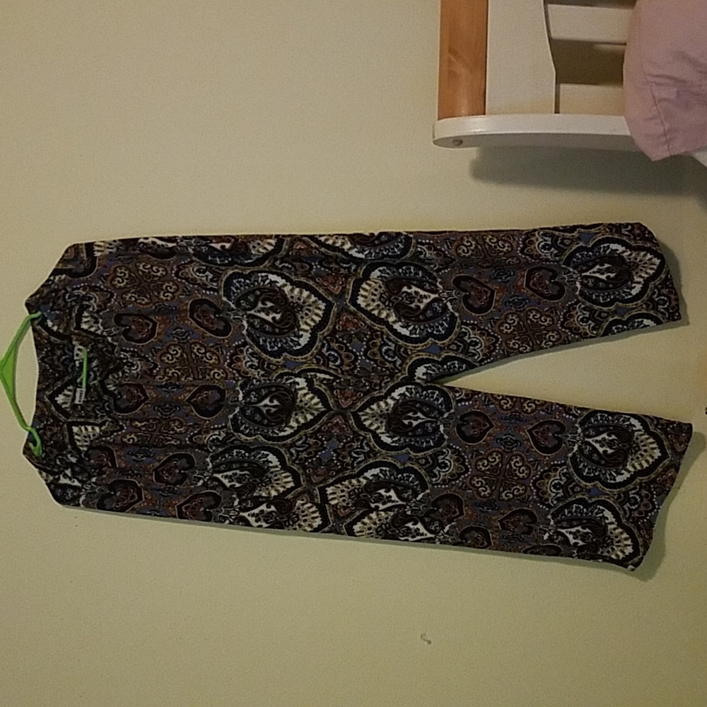 A gorgeous pair of  gypsy multi colored pants.